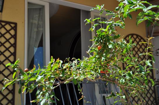 Hotel Corallo  | Cattolica | Rimini | Italia 17