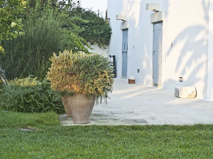 Hotel Masseria Montelauro  | Otranto | Lecce | Italia 6