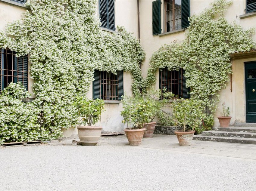 Pensione Fattoria Di Bacchereto -  Guest House  | Carmignano | Prato | Italia 4