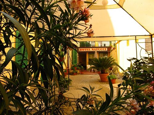 Hotel Albergo Natucci  | Montecatini Terme | Pistoia | Italia 8