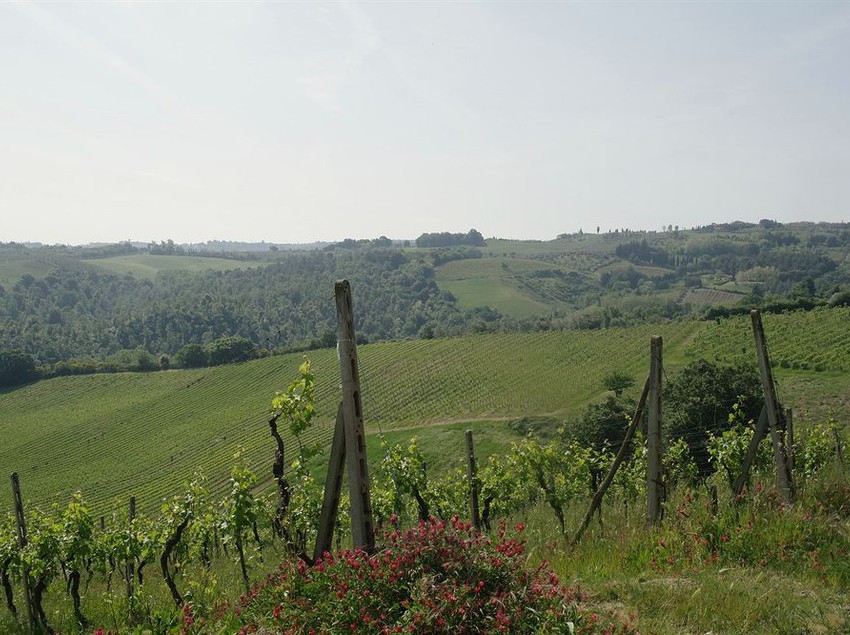 Hotel La Pieve  | Montaione | Florence | Italia 19