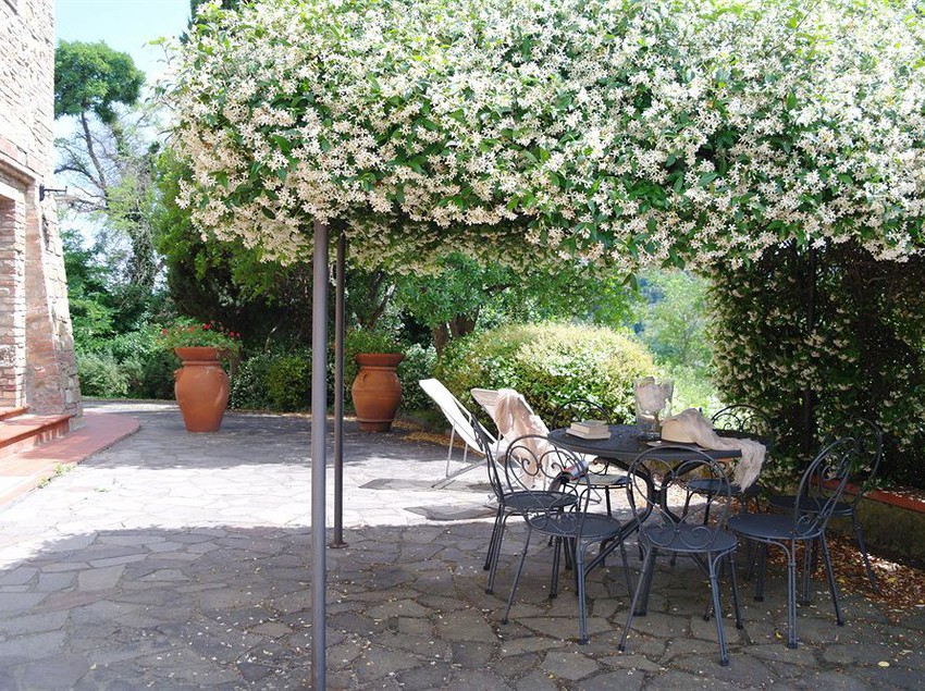 Hotel La Pieve  | Montaione | Florence | Italia 9