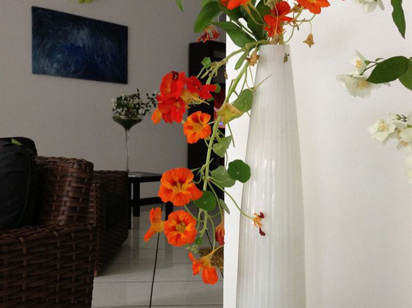 Hotel La Zagara  | Lipari | Messina | Itália 6