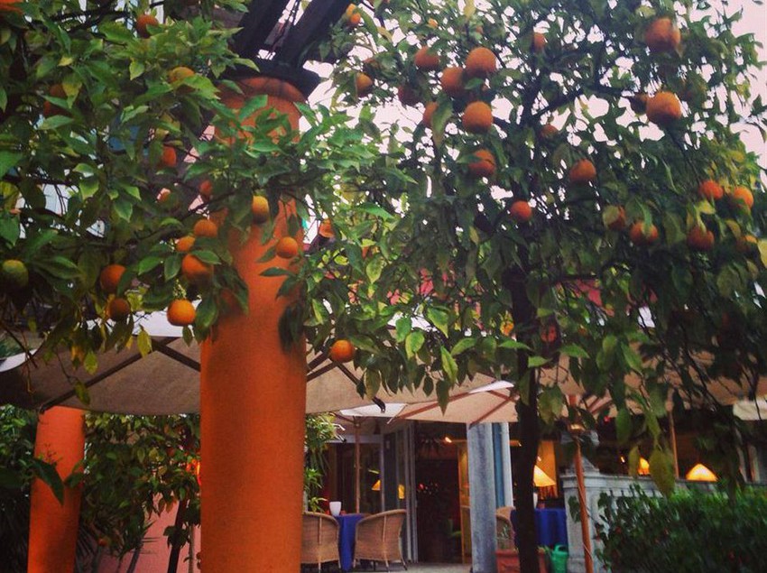 Hotel Miravalle  | Riva del Garda | Trento | Italia 4