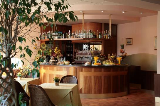 Hotel Al Ponte  | Gradisca d'Isonzo | Gorizia | Italia 14