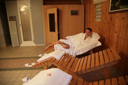 Hotel Al Ponte  | Gradisca d'Isonzo | Gorizia | Italia 19