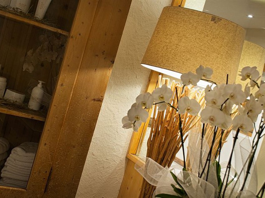 Hotel Salvadori  | Mezzana | Trento | Italia 19