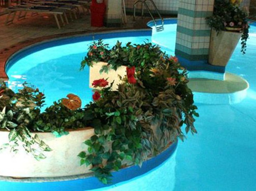 Hotel Michelangelo  | Cesenatico | Forlì-Cesena | Italia 8