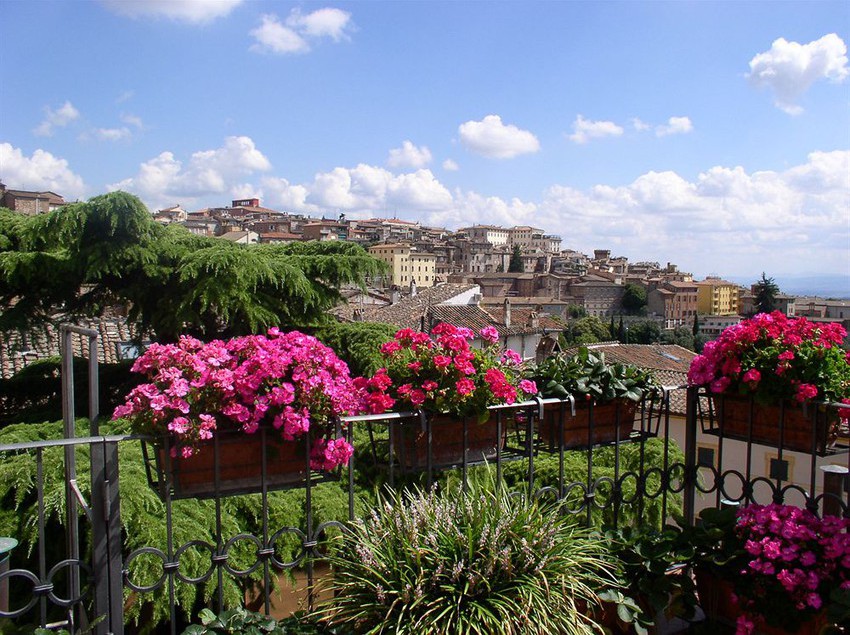 Hotel Primavera Mini  | Perugia | Perugia | Italia 6