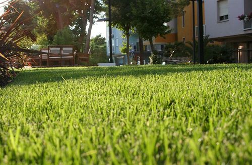 Hotel Du Parc  | Gabicce Mare | Pesaro e Urbino | Italia 10