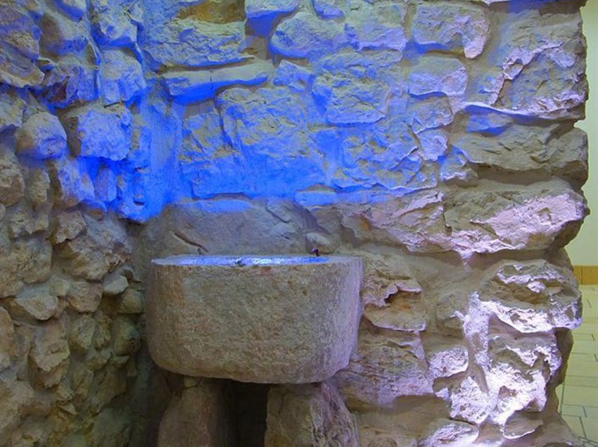 Hotel Isola Verde  | Nago Torbole | Trento | Italia 2