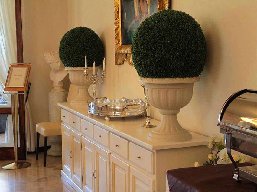 Hotel Ancora Riviera  | Lavagna | Genova | Italia 3