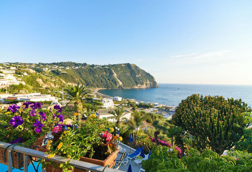 Hotel Capizzo  | Forio d'Ischia | Napoli | Italia 16