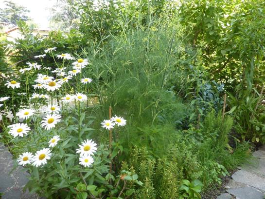 Hotel Zima  | Merano | Bolzano | Italia 3