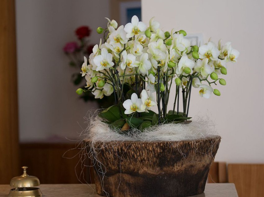 Hotel Rosanna  | Jesolo | Venezia | Italia 12