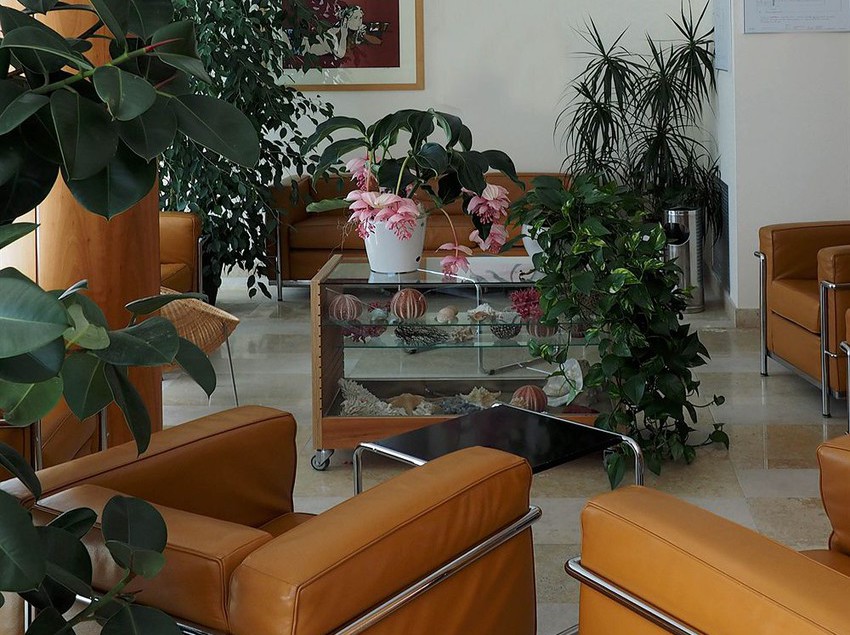 Hotel Rosanna  | Jesolo | Venezia | Italia 8