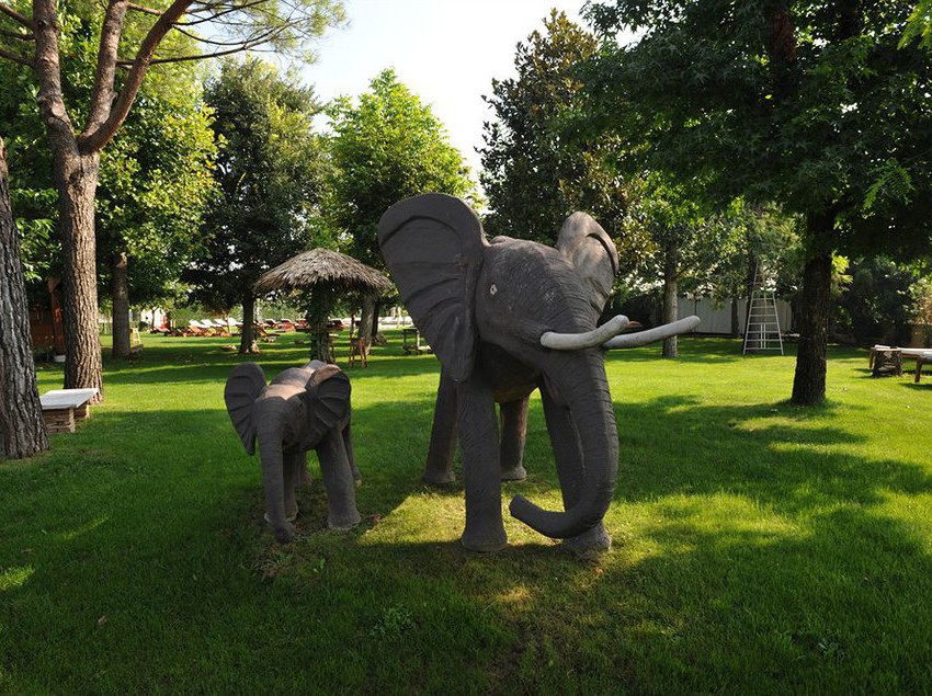 Ca' Maddalena B&b  | Villafranca di Verona | Verona | Italia 4