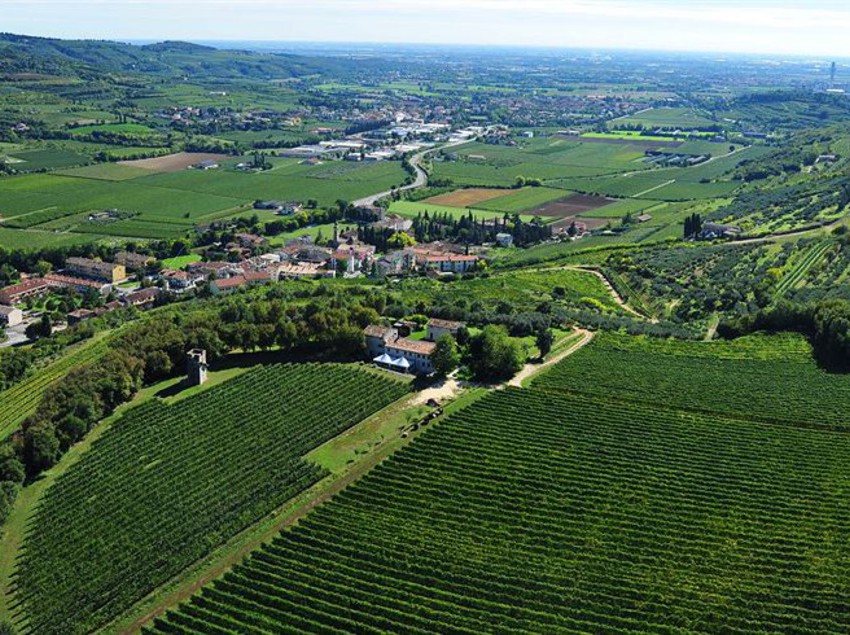 Hotel Tenuta Delo Relais  | Verona | Verona | Italia 3