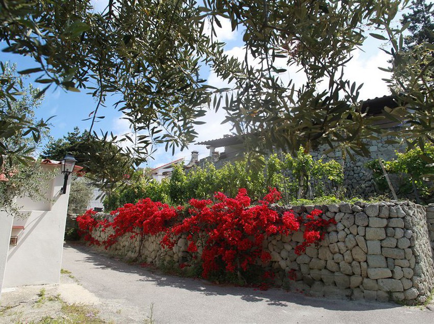 Agriturismo Il Vitigno  | Forio d'Ischia | Napoli | Italia 6