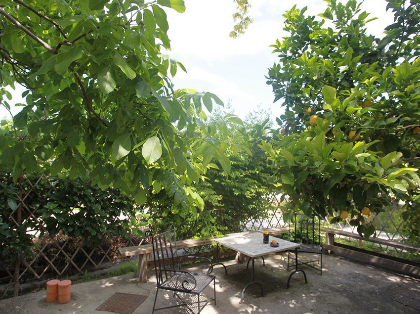 Agriturismo Il Vitigno  | Forio d'Ischia | Napoli | Italia 9