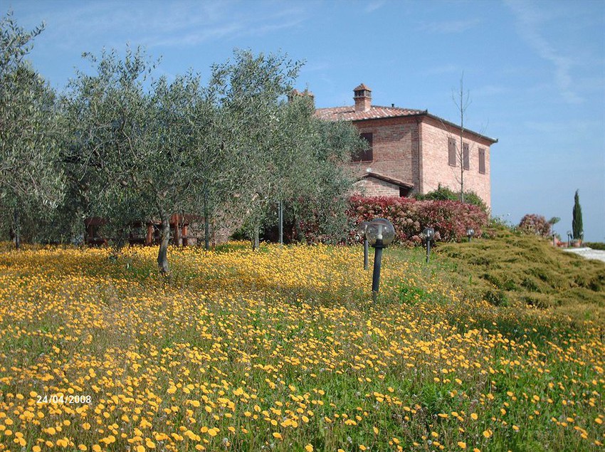 Agriturismo Frattavecchia  | Castiglione del Lago | Perugia | Italia 2