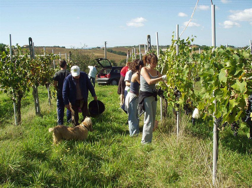 Agriturismo Frattavecchia  | Castiglione del Lago | Perugia | Italia 4