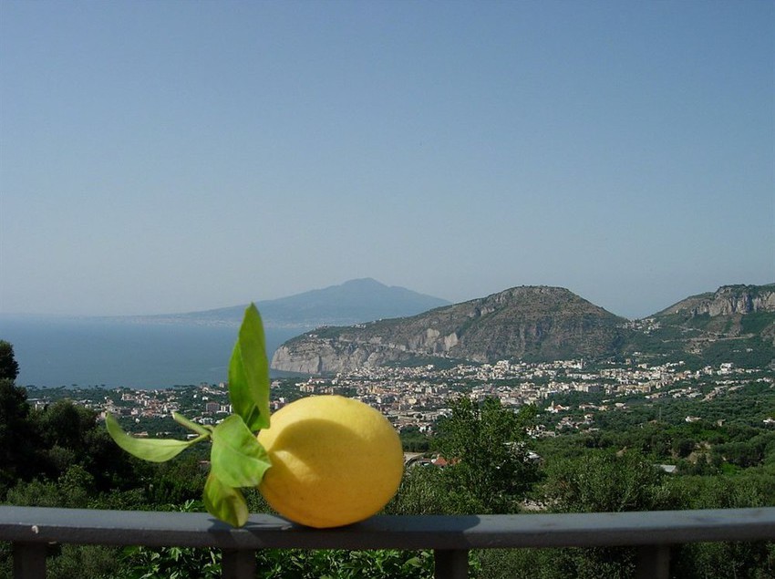 Hotel Gli Ulivi  | Sant'Agnello | Pescara | Italia 5