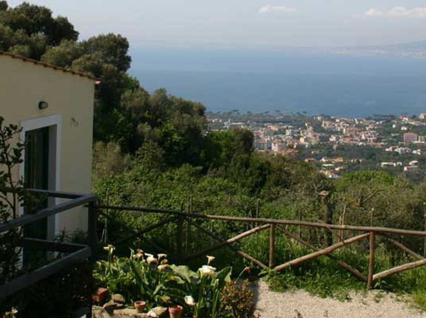 Hotel Gli Ulivi  | Sant'Agnello | Pescara | Italia 6