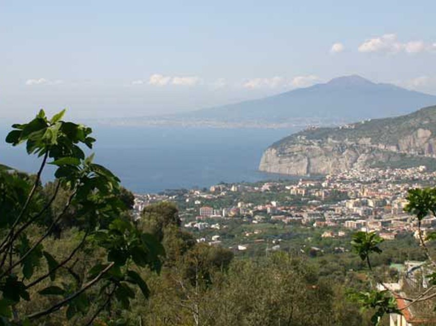 Hotel Gli Ulivi  | Sant'Agnello | Pescara | Italia 9