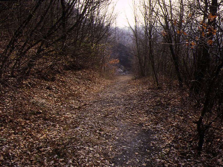 Agriturismo Cavazzone  | Viano | Reggio Emilia | Italia 3