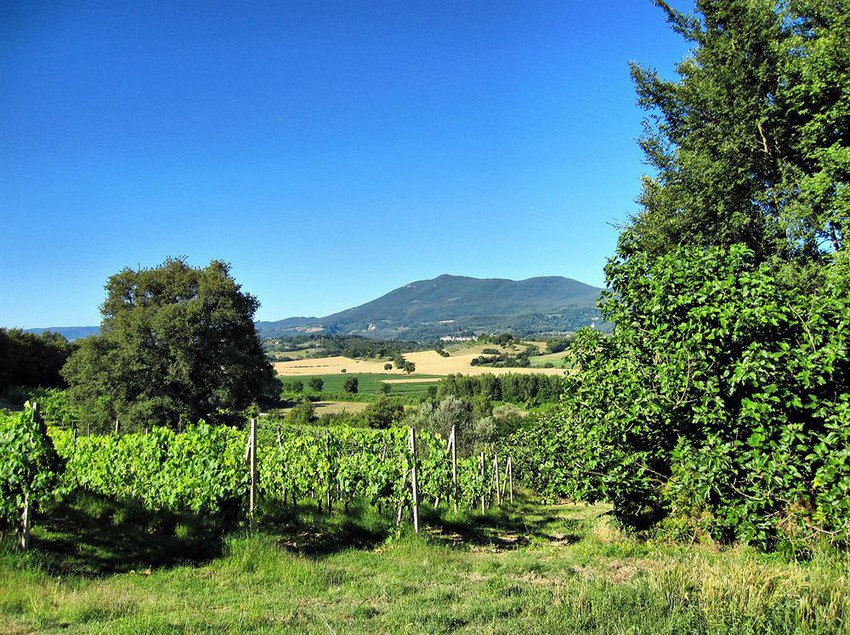 Hotel Il Pornelleto  | Cetona | Siena | Italia 10