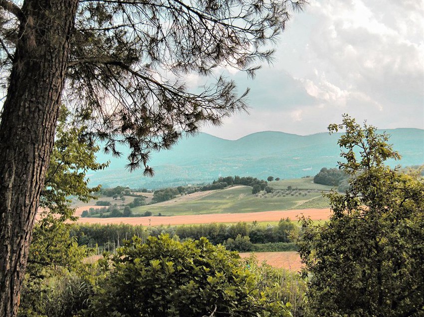 Hotel Il Pornelleto  | Cetona | Siena | Italia 12