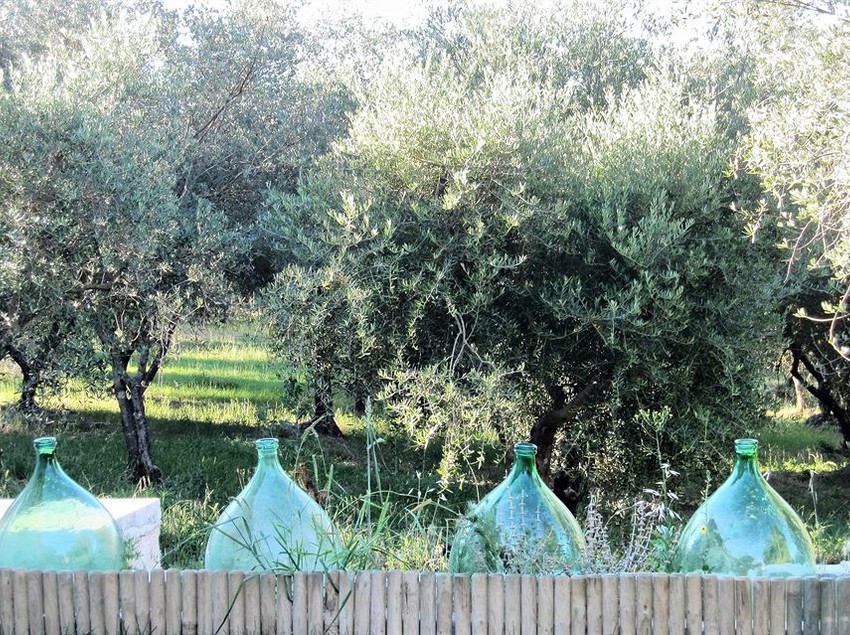 Hotel Il Pornelleto  | Cetona | Siena | Italia 2