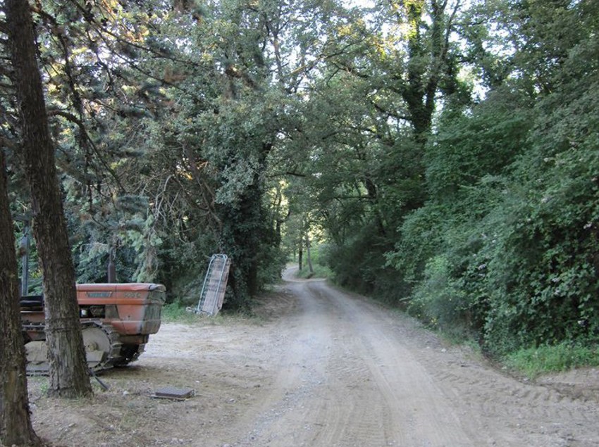 Hotel Il Pornelleto  | Cetona | Siena | Italia 7