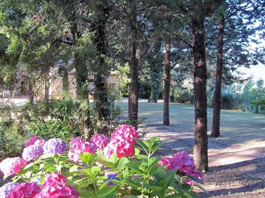 Hotel Il Pornelleto  | Cetona | Siena | Italia 8