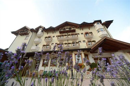 Hotel Corona Dolomites  | Andalo | Trento | Italia 1