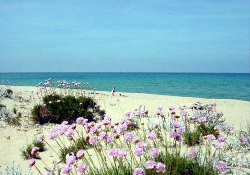 Hotel Sandalia  | Nuoro | Sardinia | Italy 13