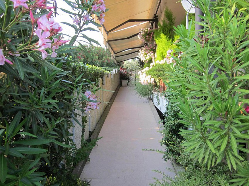 Hotel Garni Marina  | Torri del Benaco | Verona | Italia 11