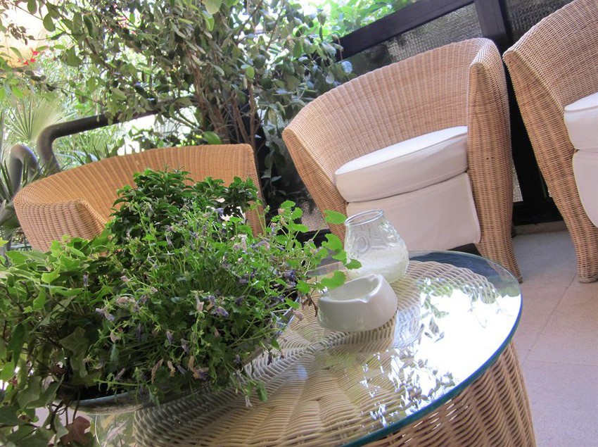 Hotel Garni Marina  | Torri del Benaco | Verona | Italia 6