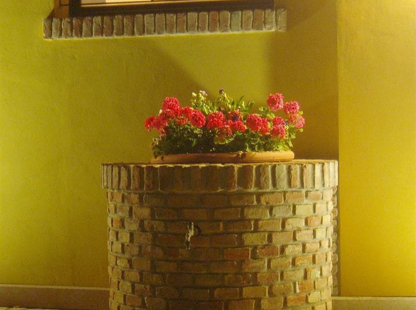 Agriturismo Ca' Nuova  | Minerbio | Bologna | Italia 5