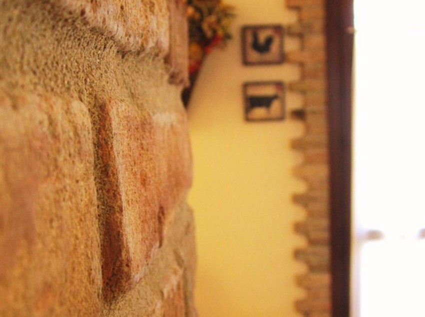 Agriturismo Ca' Nuova  | Minerbio | Bologna | Italia 8