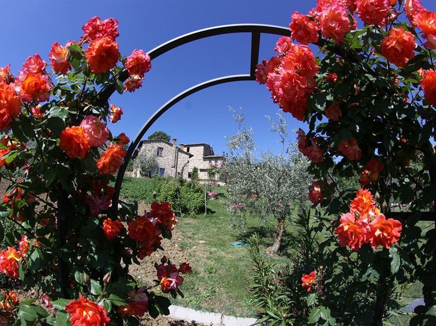 Hotel Ardene  | Montepulciano | Siena | Italia 4