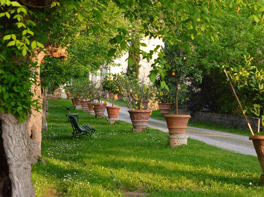 Hotel Tenuta Il Tresto  | Poggibonsi | Siena | Italia 1