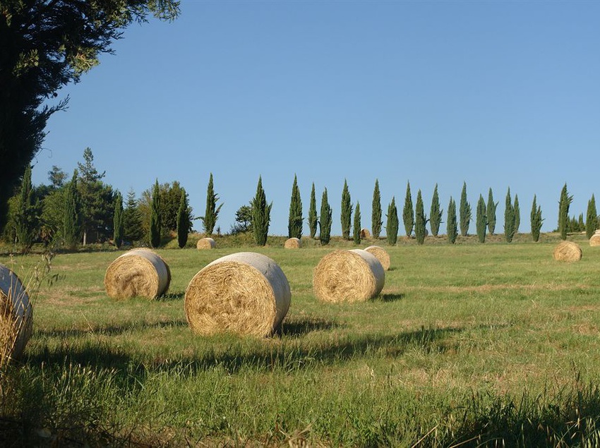 Hotel Tenuta Il Tresto  | Poggibonsi | Siena | Italia 6