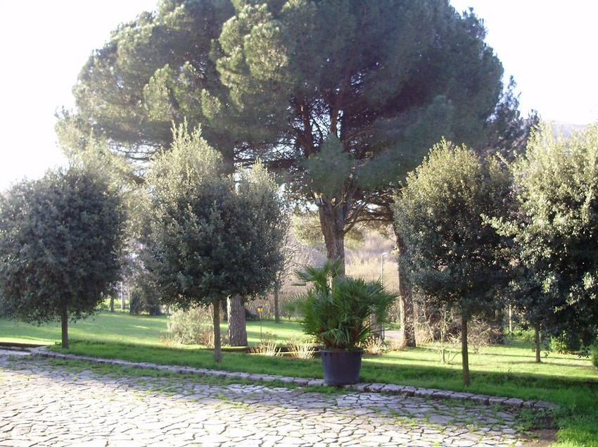 Hotel Tenuta Montelaura Forino Avellino