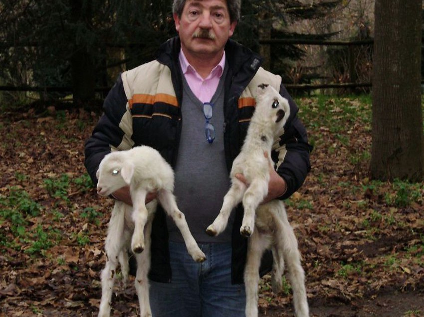 Hotel Tenuta Montelaura  | Forino | Avellino | Italia 10