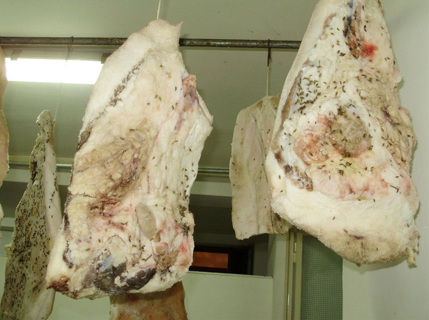 Hotel Tenuta Montelaura  | Forino | Avellino | Italia 7