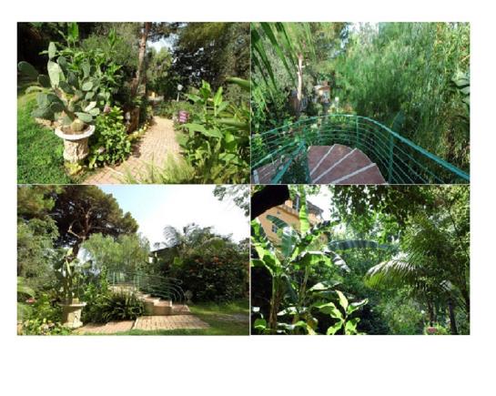 Hotel Marchese D'altavilla  | Tropea | Vibo Valentia | Italia 4