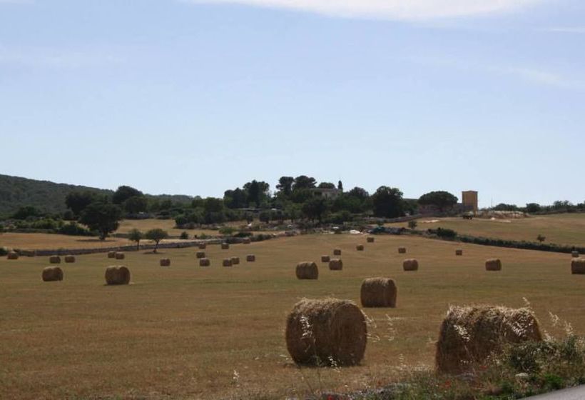 Hotel Donatello  | Alberobello | Bari | Italia 17