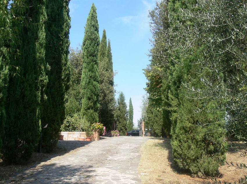 Hotel Malafrasca  | Siena | Siena | Italia 2